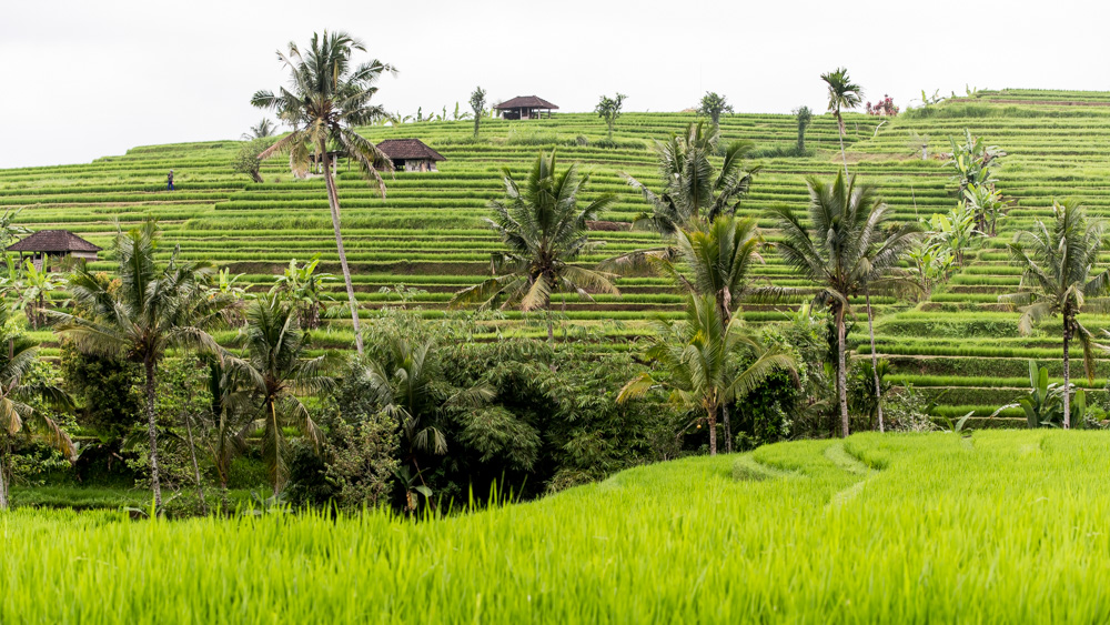 Najpiekniejsze miejsca na Bali-11