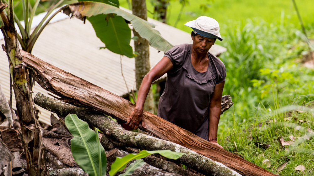 Tarasy Ryżowe Jatiluwih-18