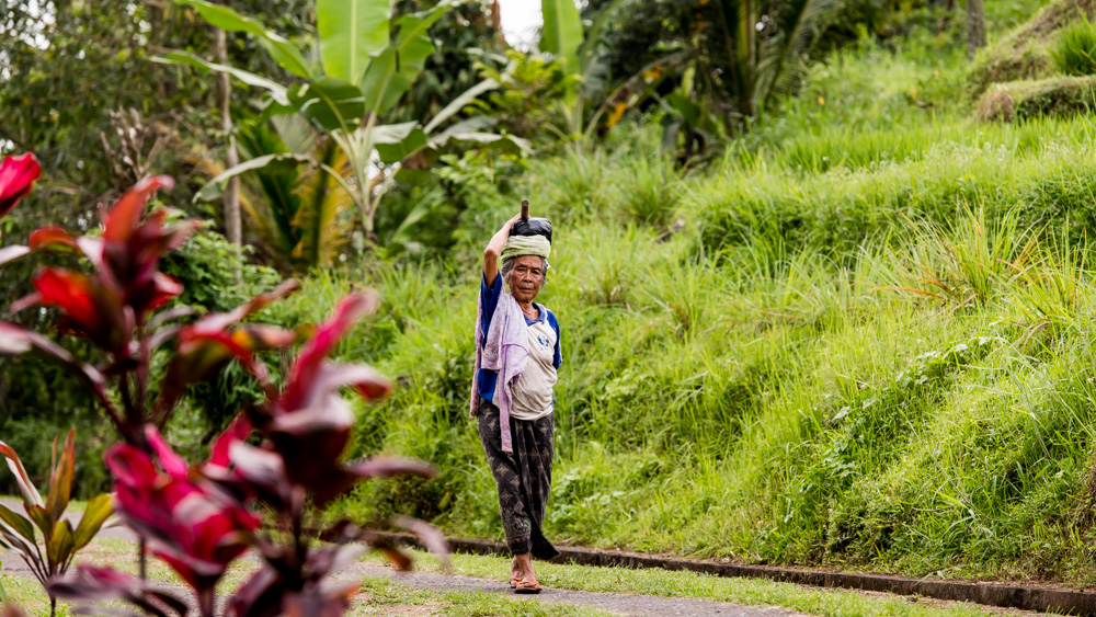 Tarasy Ryżowe Jatiluwih-16