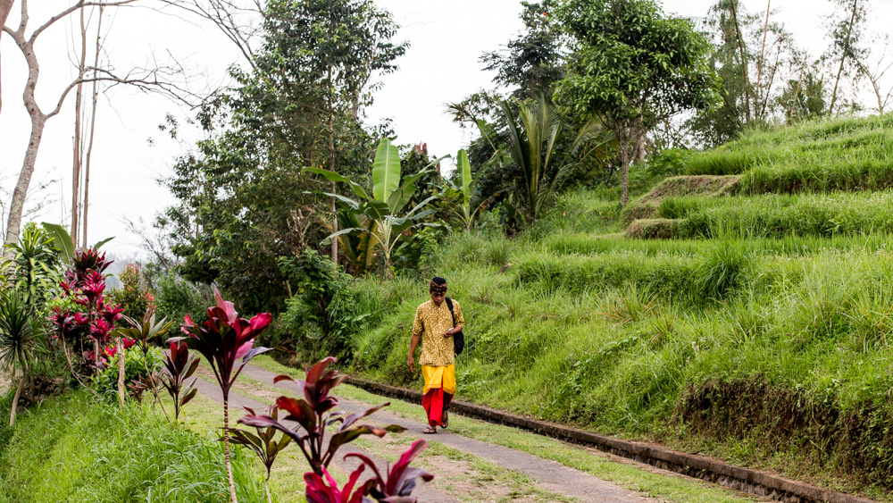 Tarasy Ryżowe Jatiluwih-14
