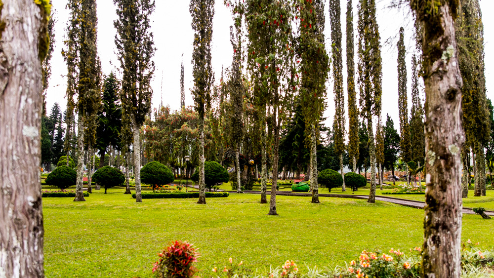 Świątynia Pura Ulun Danu Bratan-10