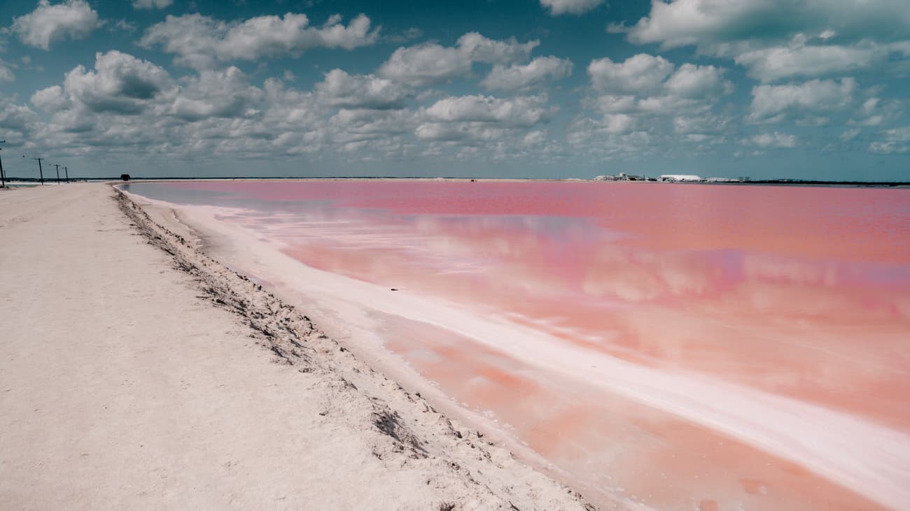 Rozowe jeziora na Jukatanie w meksyku