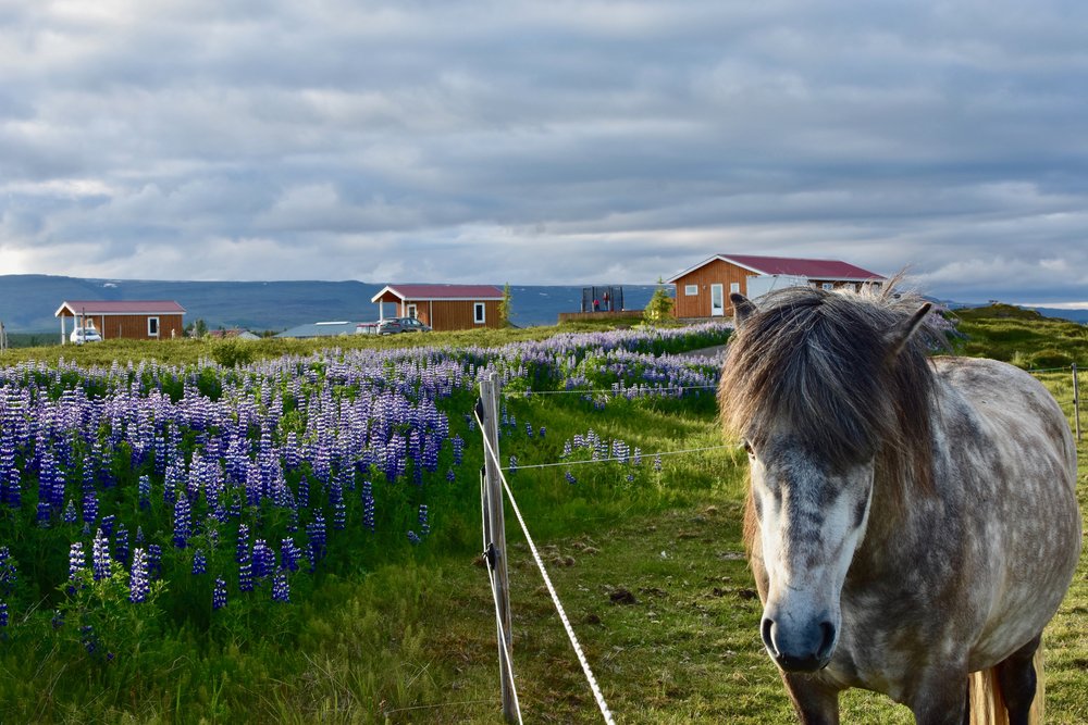 najpiekniejsze miejsca noclegowe na islandii 09