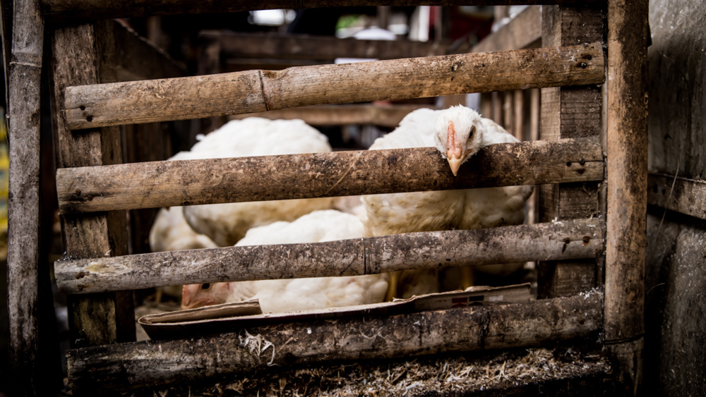 sidemen co robic i zobaczyc polecane atrakcje 43