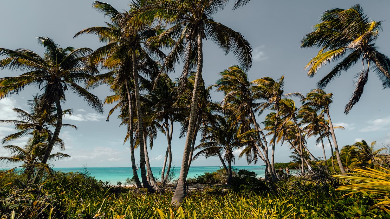 wyspa contoy i wyspa mujeres wycieczka 14