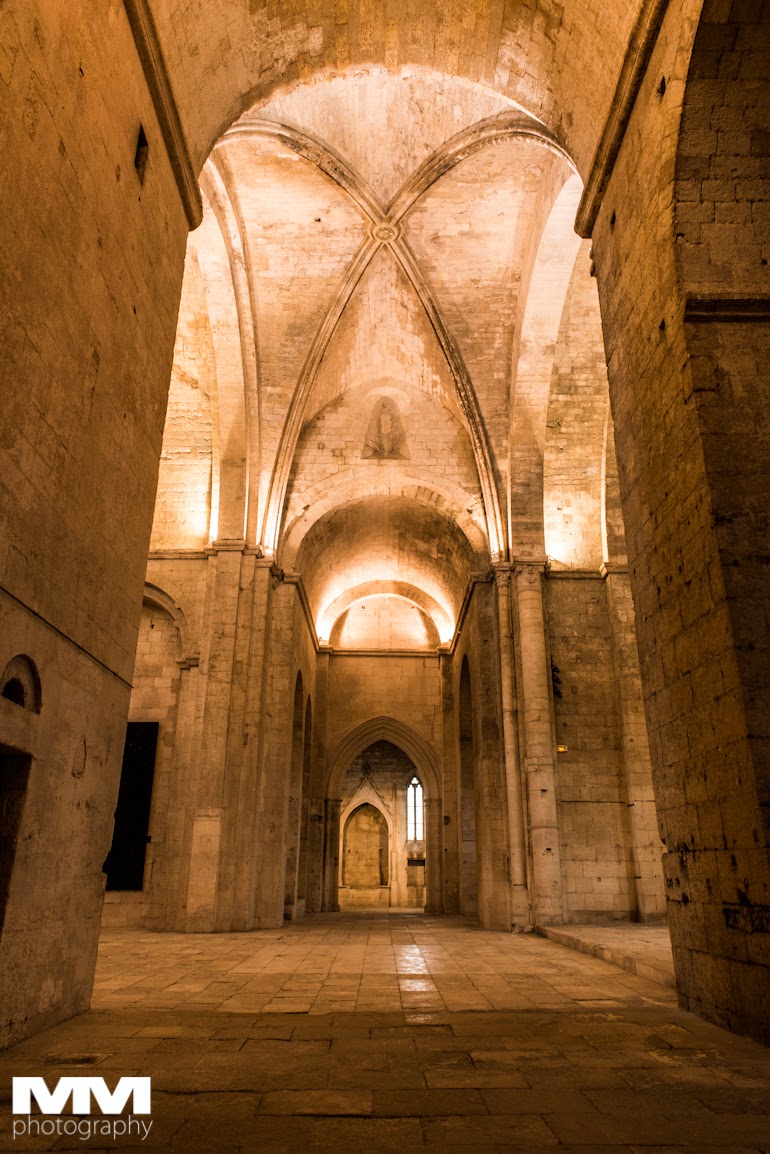 abbaye montmajour pont du gard 01