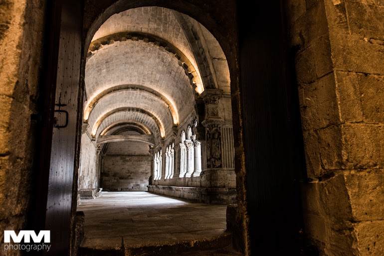 abbaye montmajour pont du gard 02