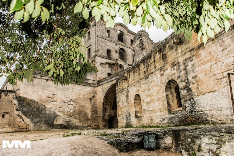 abbaye montmajour pont du gard 16