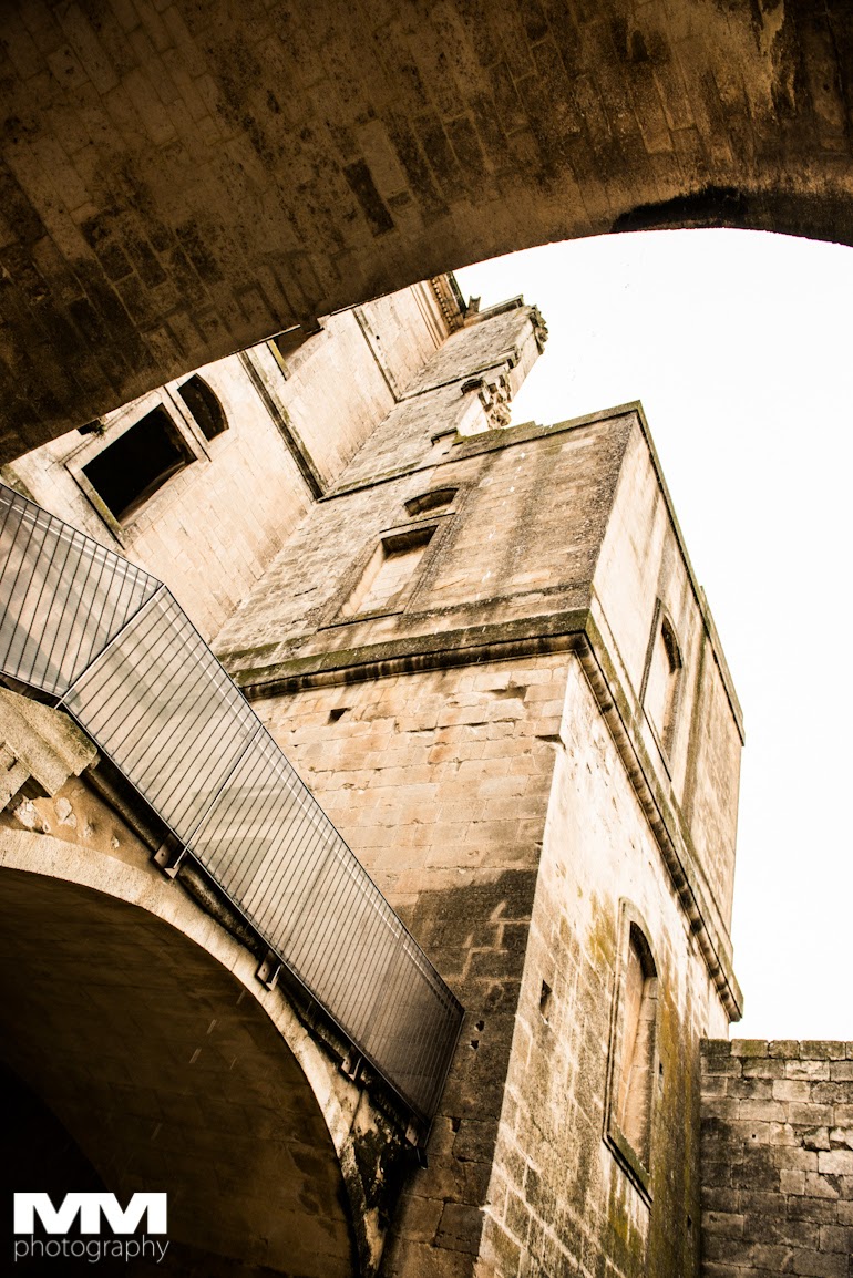 abbaye montmajour pont du gard 17
