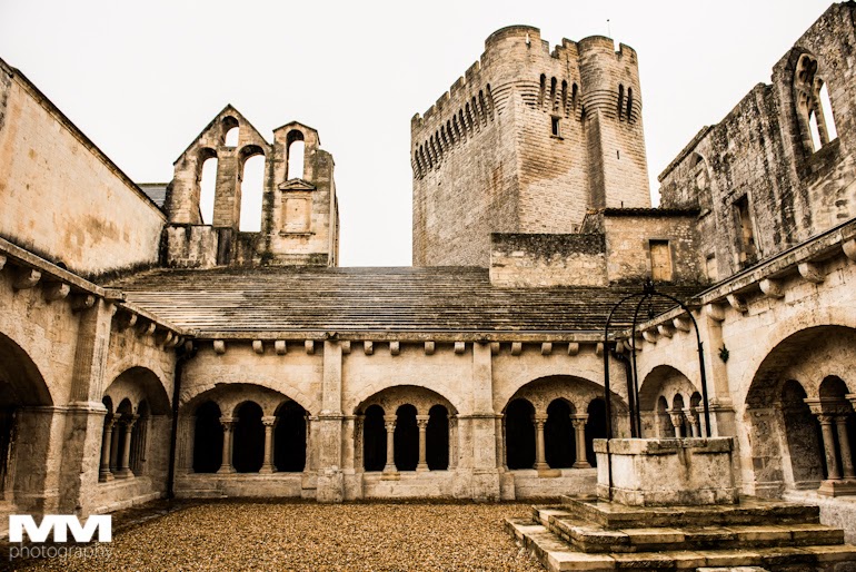 abbaye montmajour pont du gard 18