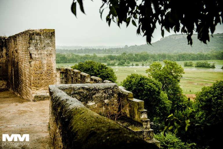 abbaye montmajour pont du gard 19