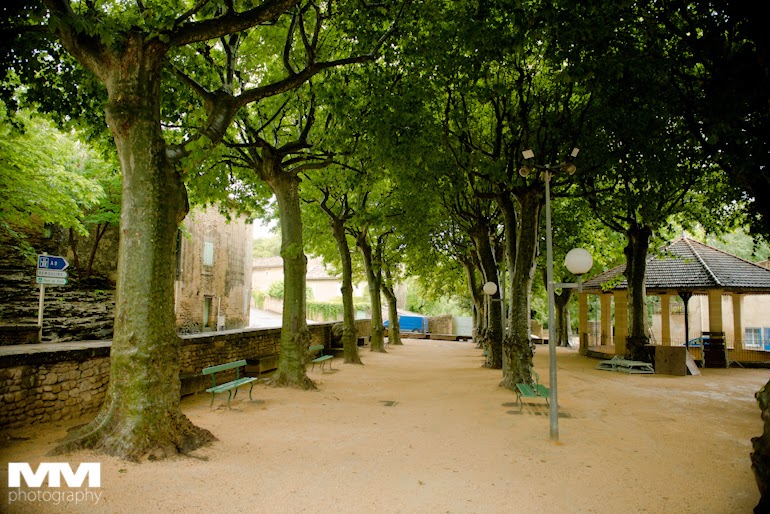 abbaye montmajour pont du gard 21