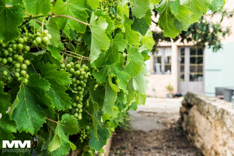 abbaye montmajour pont du gard 27