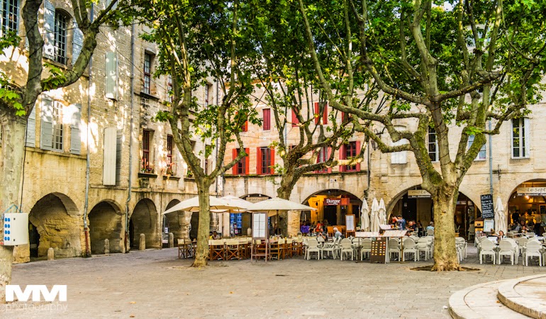 abbaye montmajour pont du gard 46