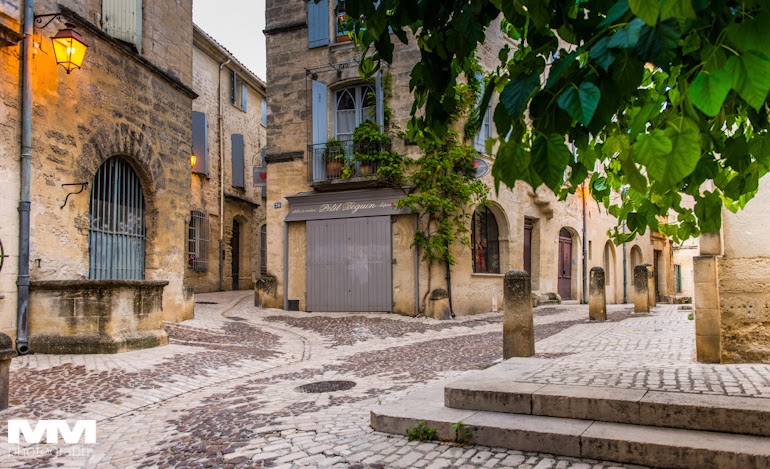 abbaye montmajour pont du gard 50
