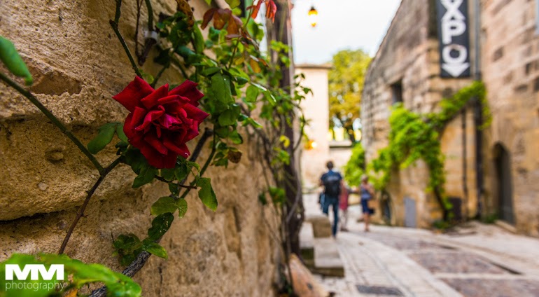 abbaye montmajour pont du gard 53