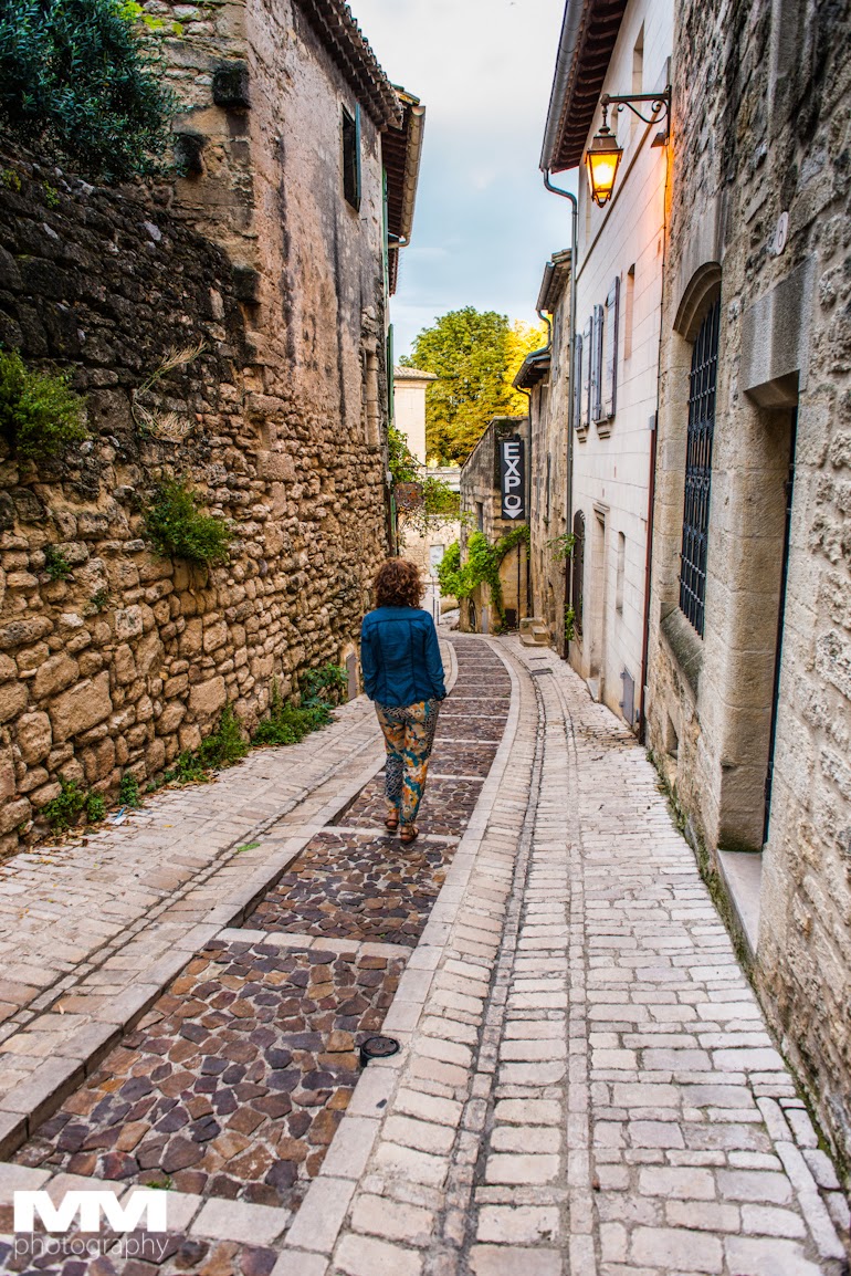 abbaye montmajour pont du gard 54