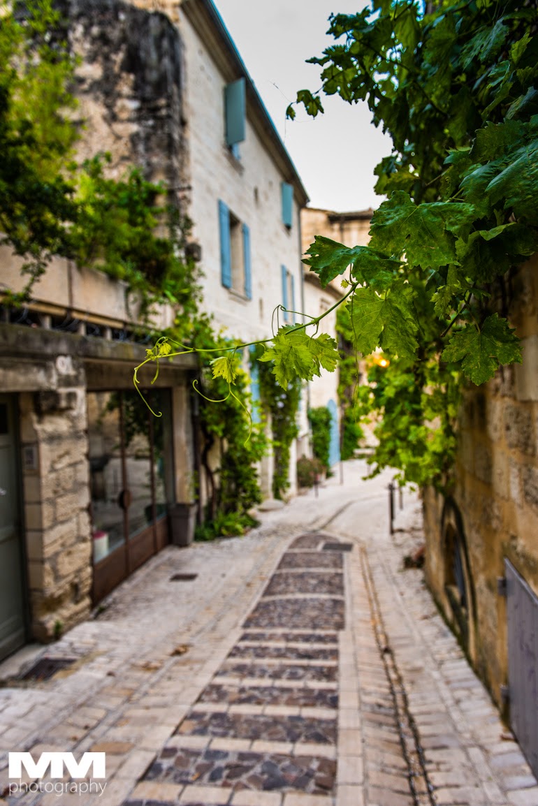 abbaye montmajour pont du gard 56