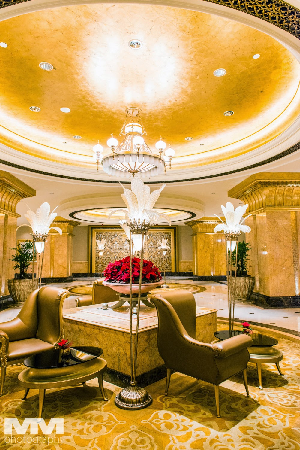 abu dhabi palac emirates 16