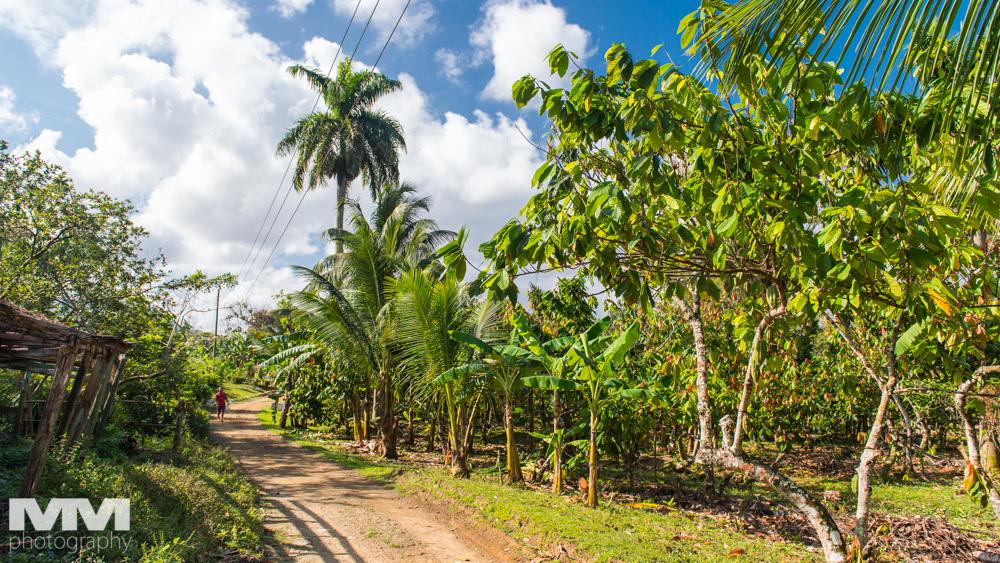 baracoa rzeka yumuri 03