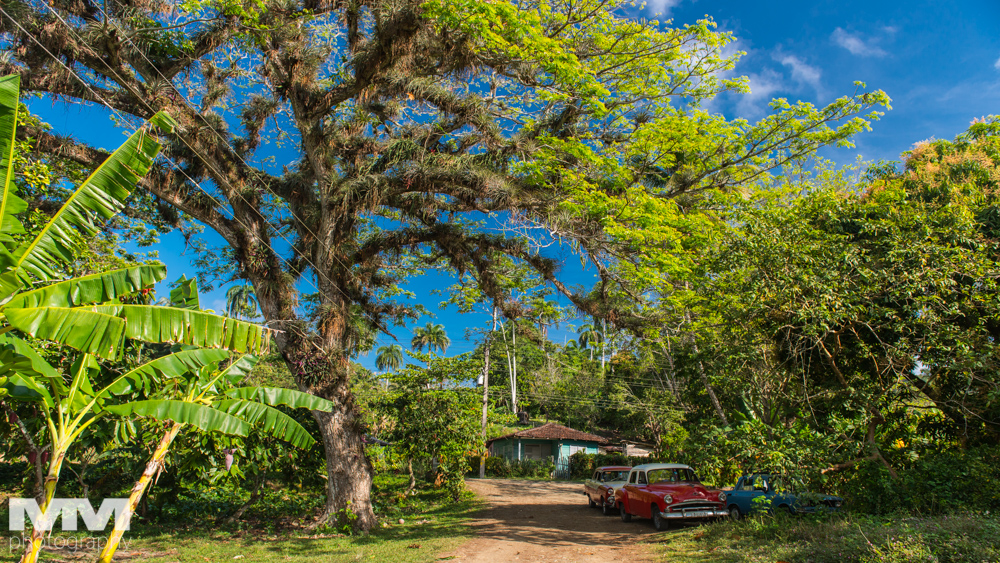 baracoa rzeka yumuri 05