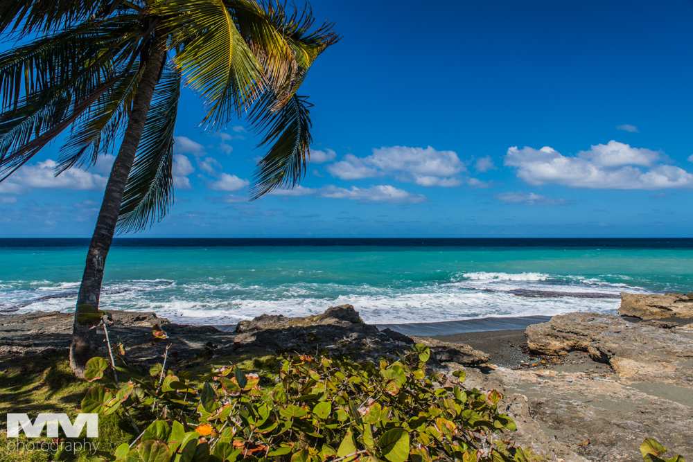 baracoa rzeka yumuri 100