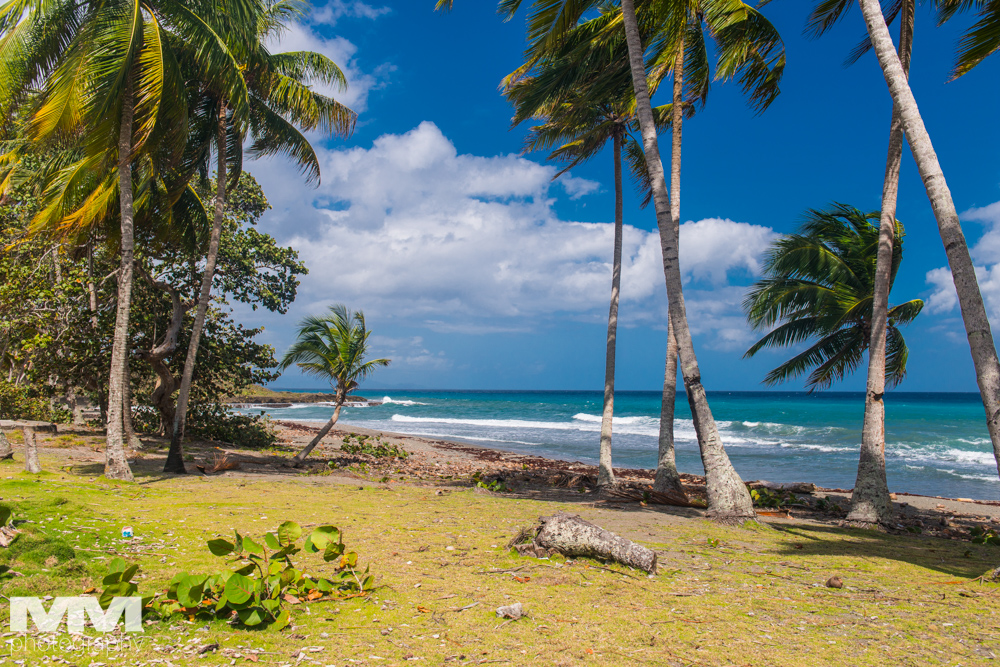 baracoa rzeka yumuri 20
