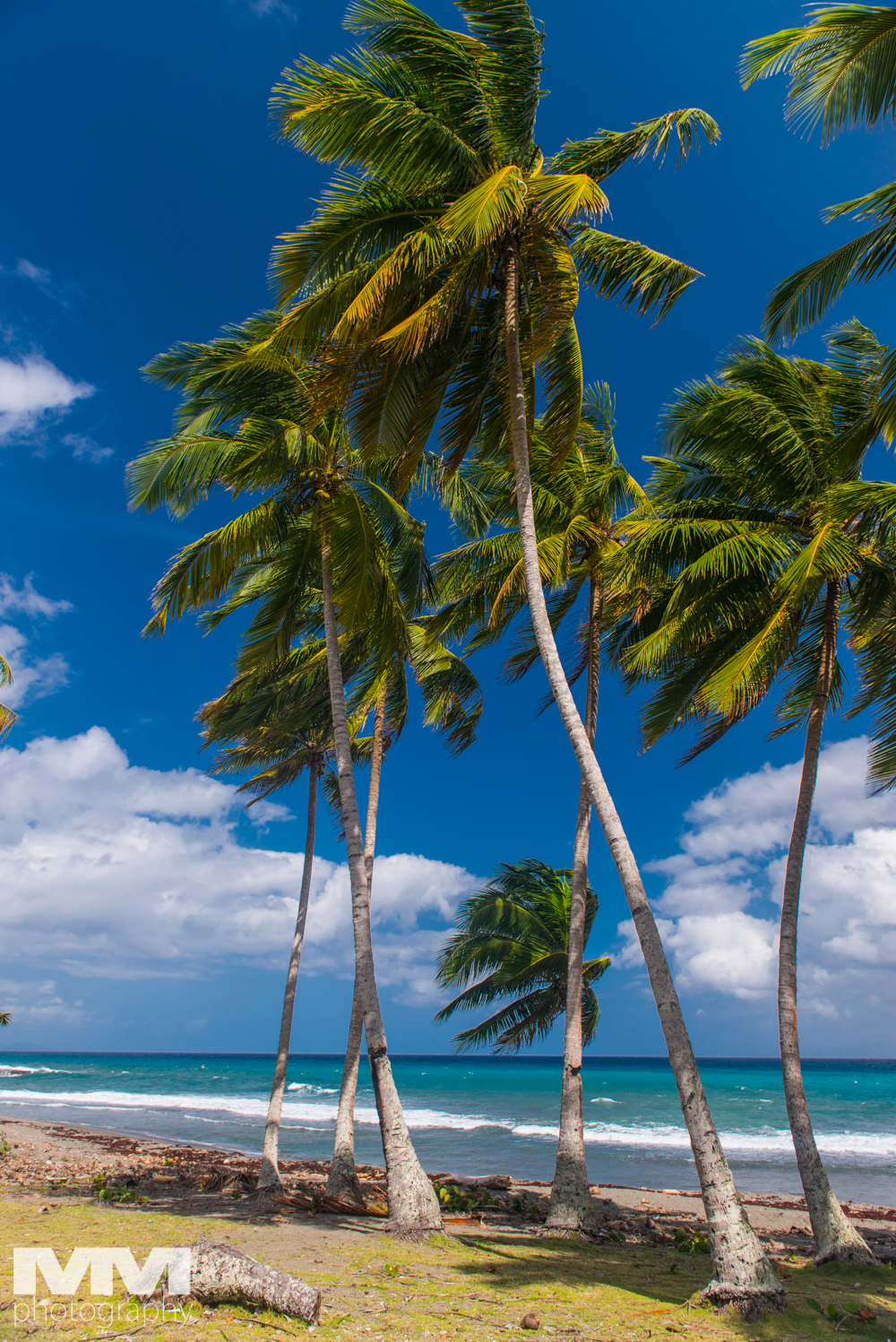 baracoa rzeka yumuri 22