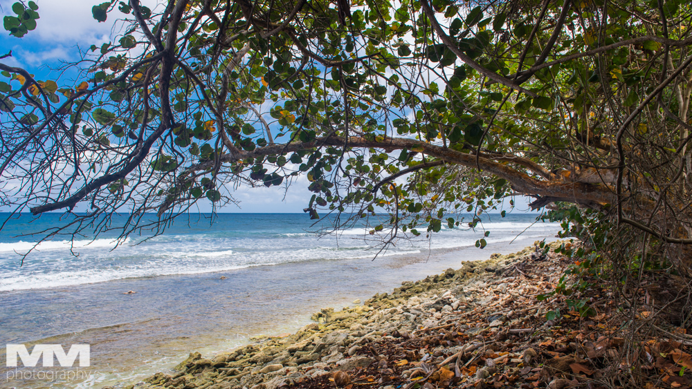 baracoa rzeka yumuri 29