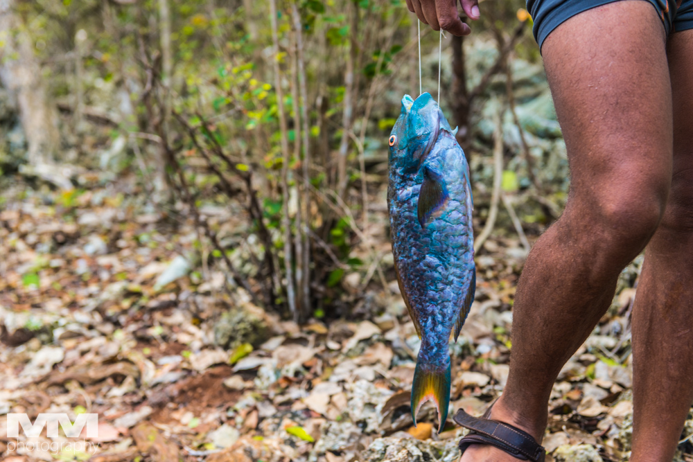 baracoa rzeka yumuri 31