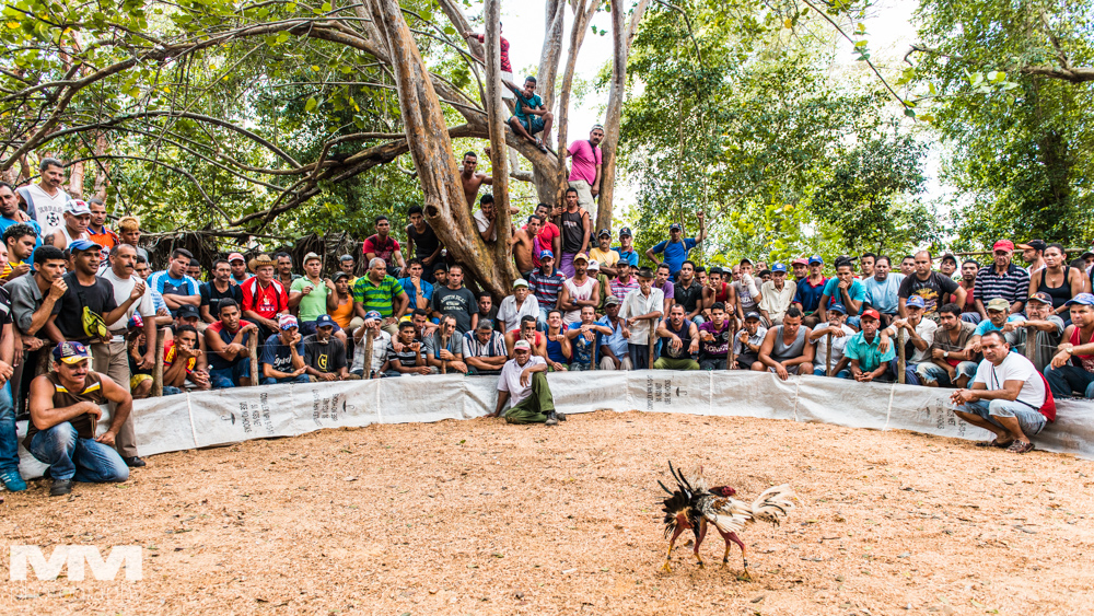 baracoa rzeka yumuri 35