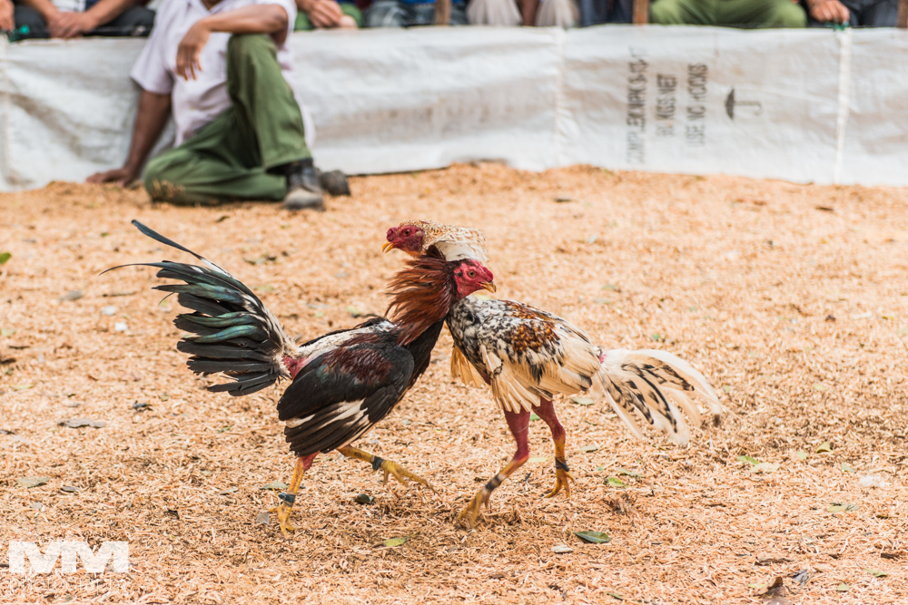 baracoa rzeka yumuri 37