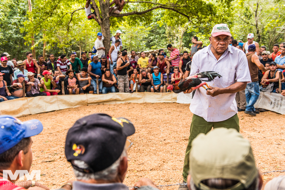 baracoa rzeka yumuri 38