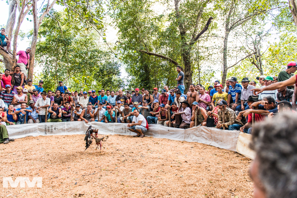 baracoa rzeka yumuri 40