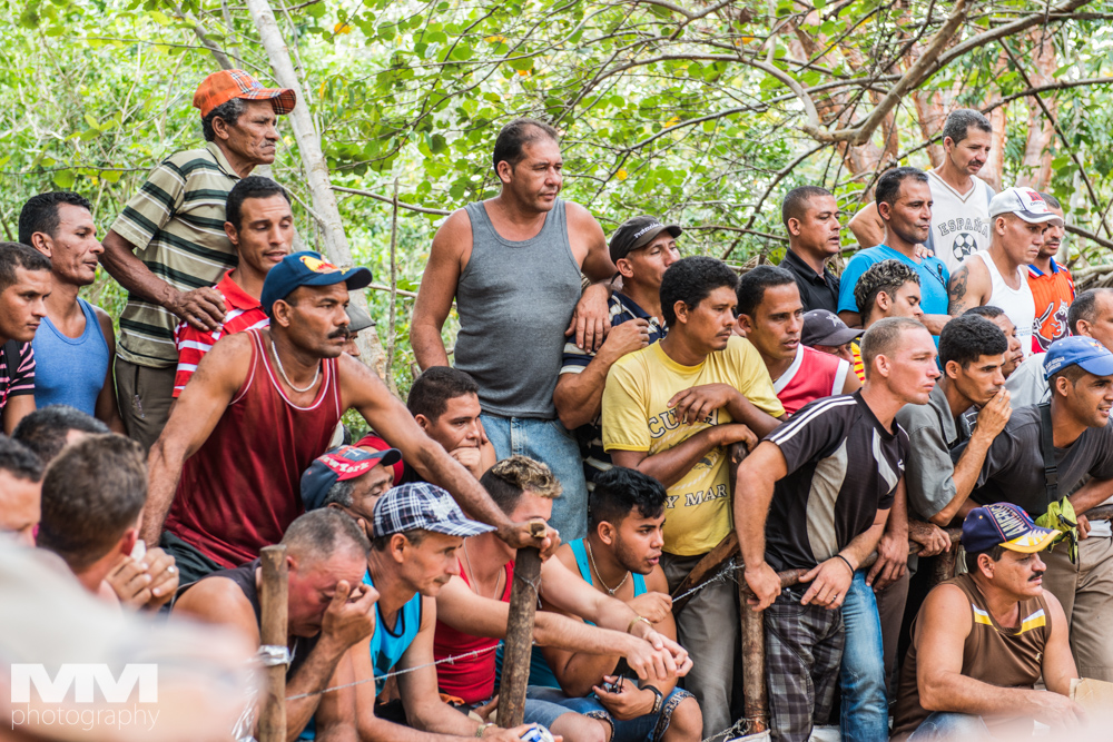 baracoa rzeka yumuri 41