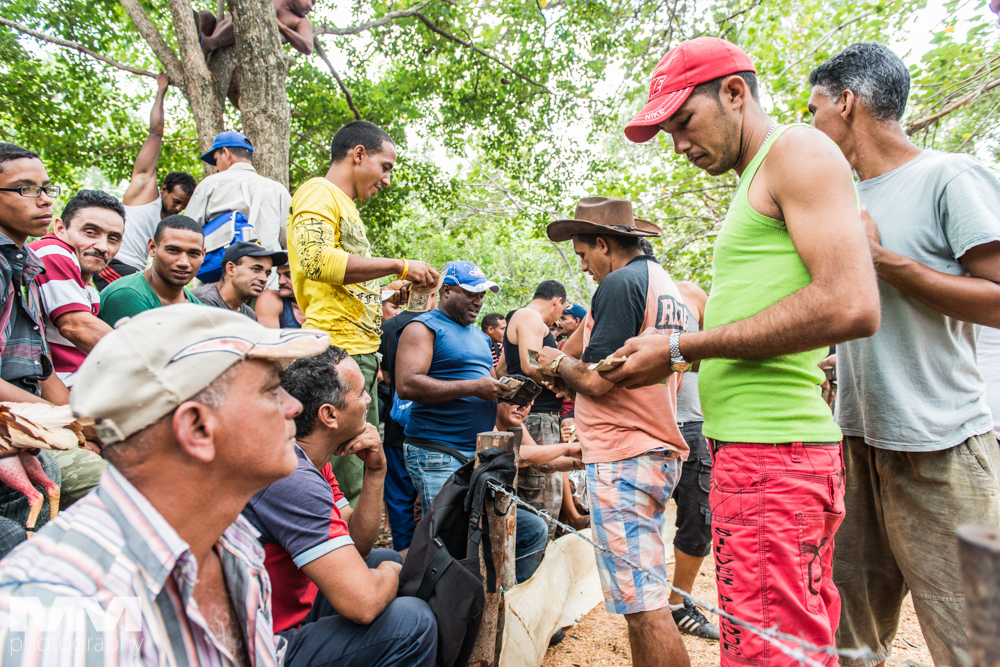 baracoa rzeka yumuri 43