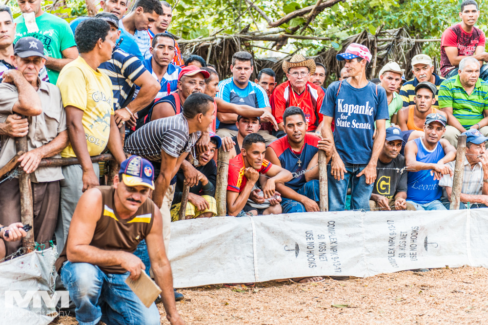 baracoa rzeka yumuri 45