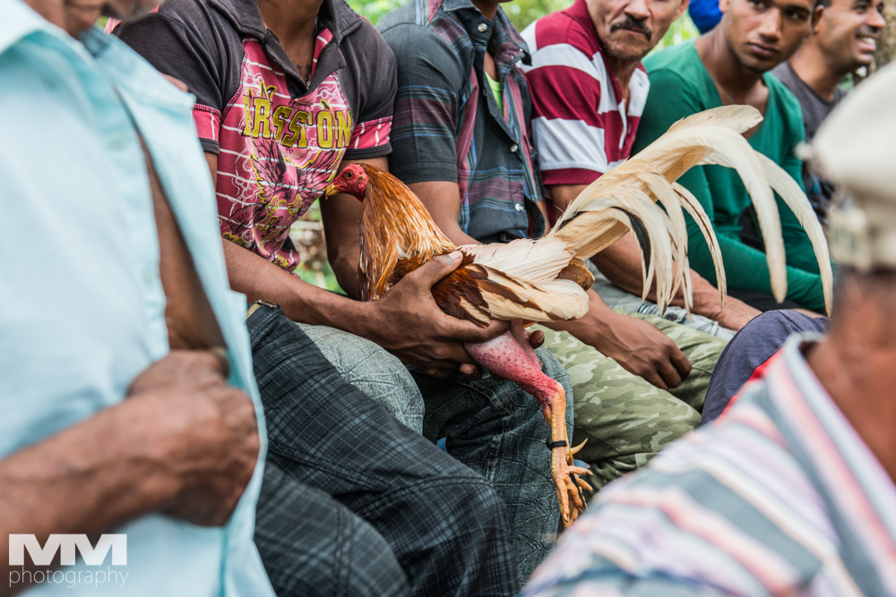 baracoa rzeka yumuri 46