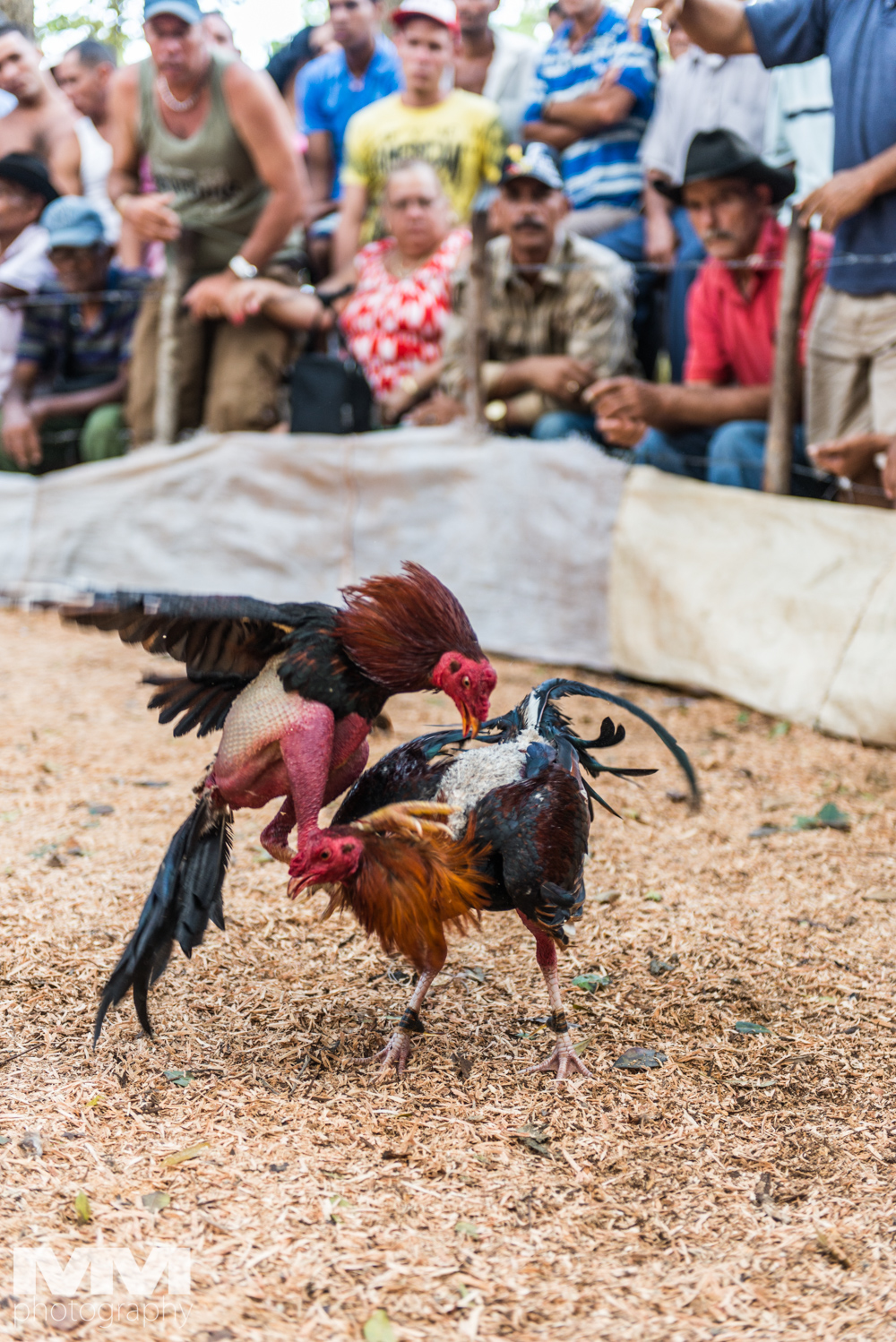 baracoa rzeka yumuri 48