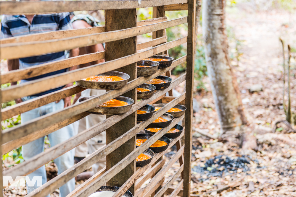 baracoa rzeka yumuri 51