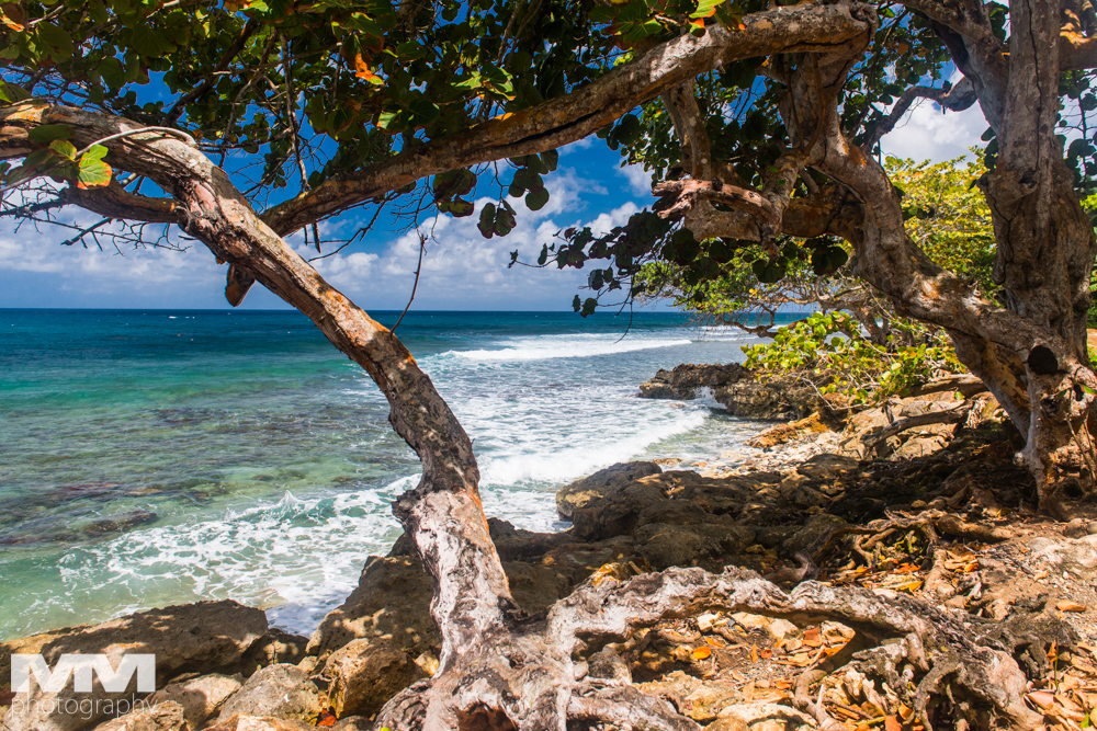 baracoa rzeka yumuri 57