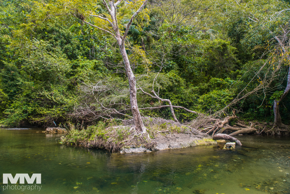 baracoa rzeka yumuri 75