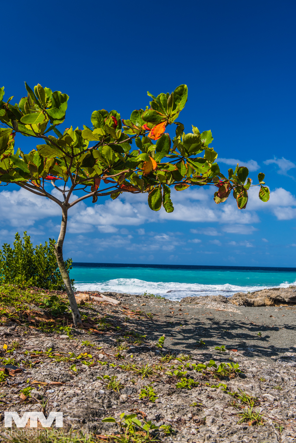 baracoa rzeka yumuri 88