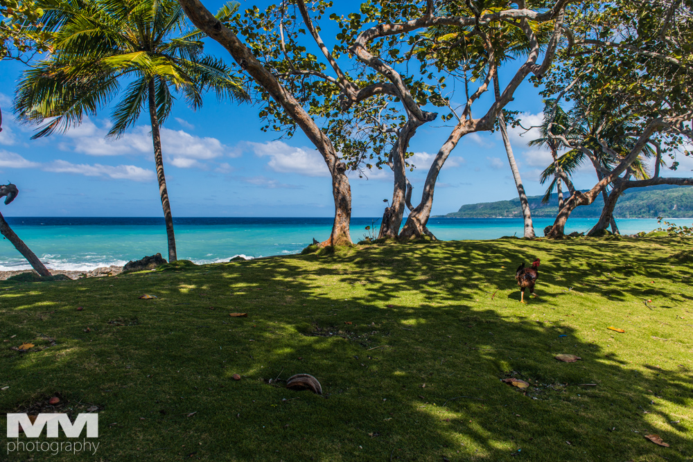 baracoa rzeka yumuri 99