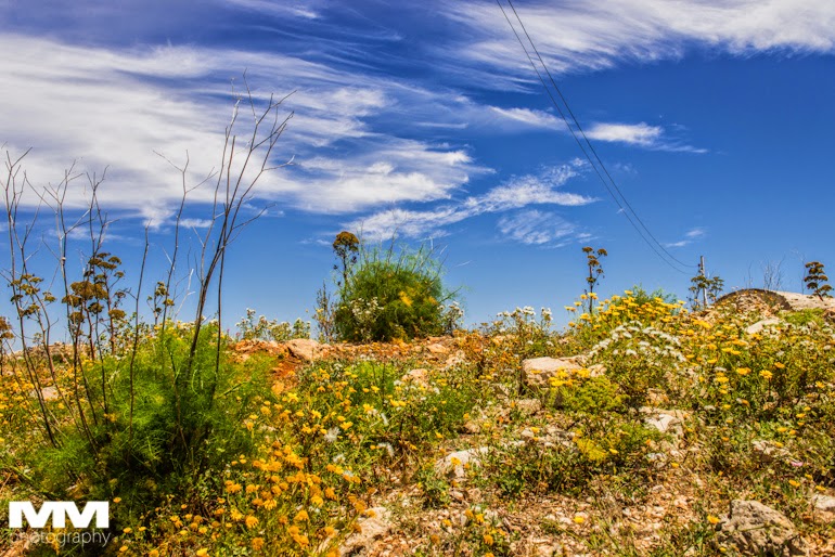 blue grotto dingli cliffs mdina marsaxlokk 19
