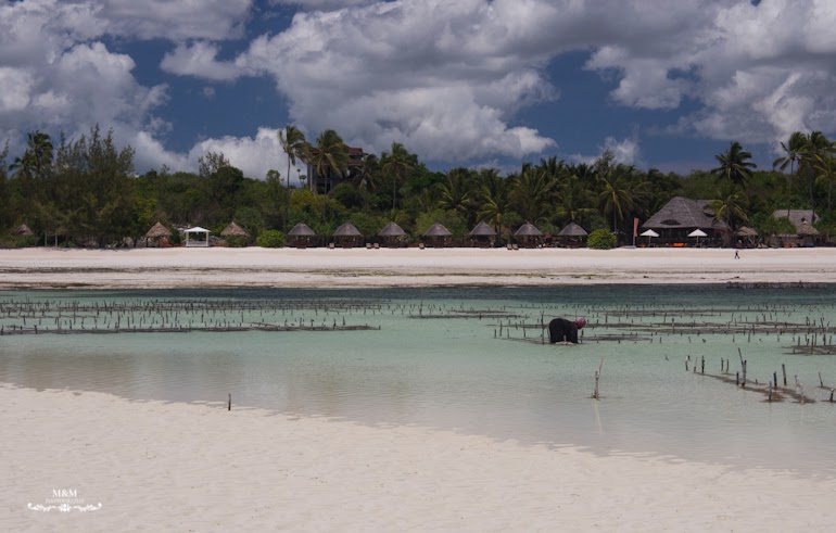 chilling on zanzibar 01