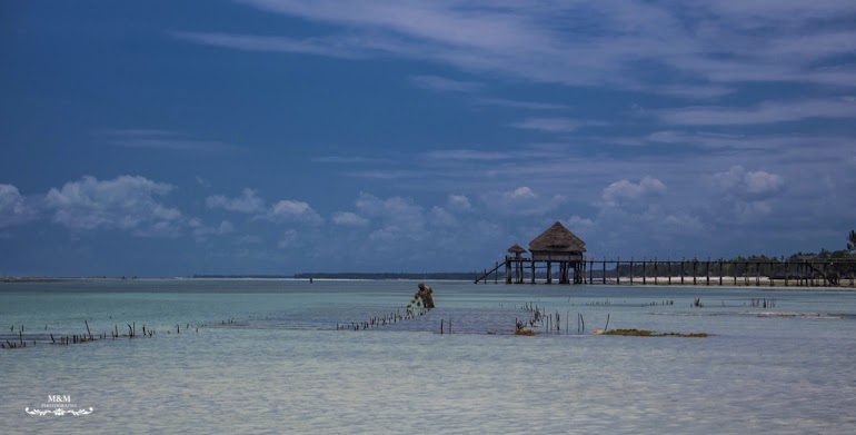 chilling on zanzibar 06