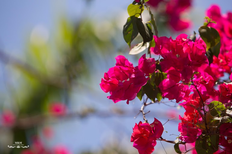 chilling on zanzibar 11