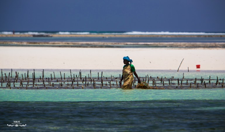 chilling on zanzibar 12