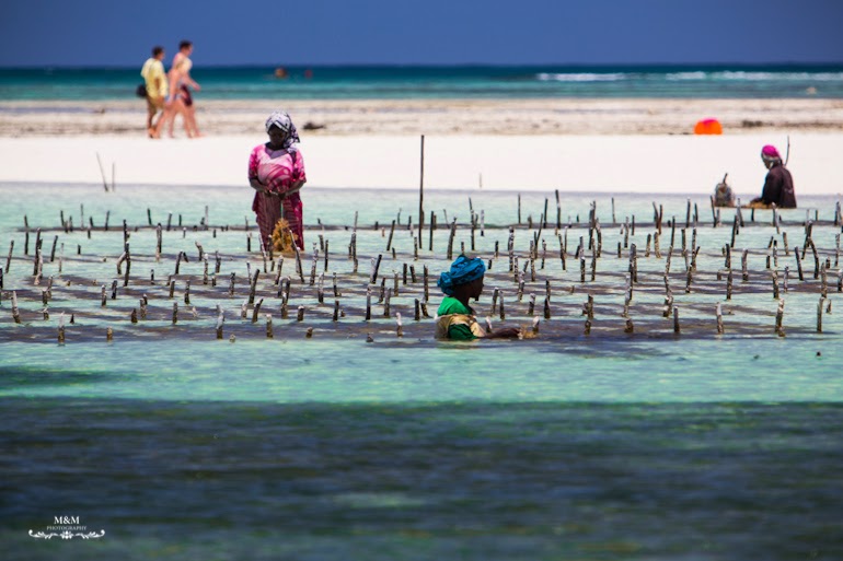 chilling on zanzibar 13